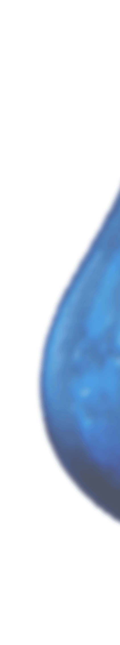 banner protocol