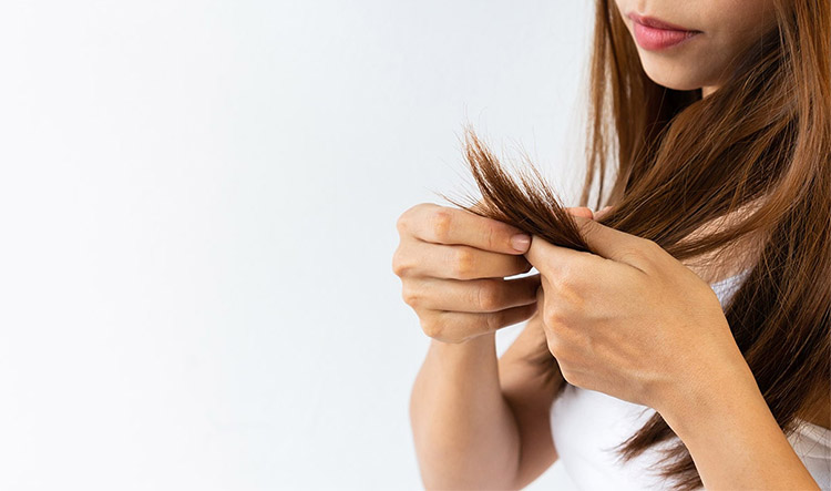 Как избавиться от ломкости волос: простые и эффективные способы